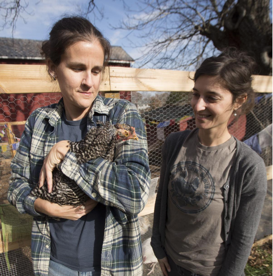 Couple Opens Lancaster Farm Sanctuary In Elizabethtown For Abused And ...