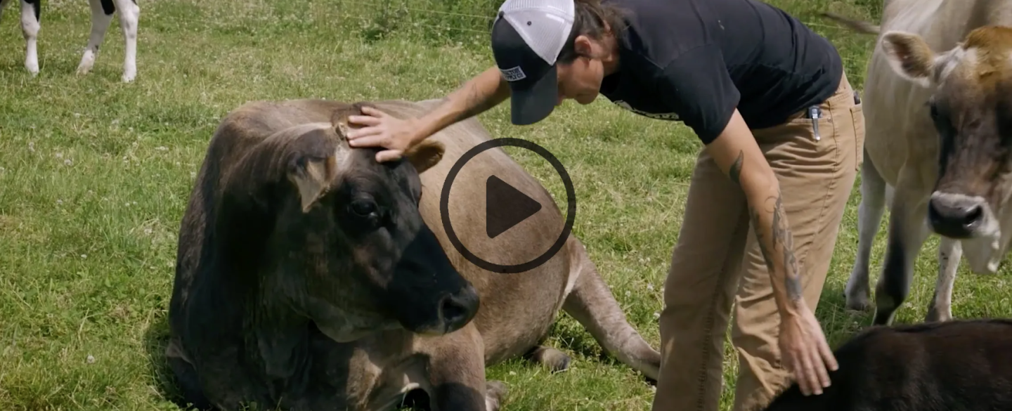 LNP Lancaster Farm Sanctuary Video