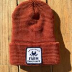 *NEW* LFS Beanie - Image 3